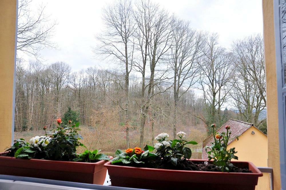 Bed and Breakfast Au Jardin de Lisa à Cherreau Extérieur photo